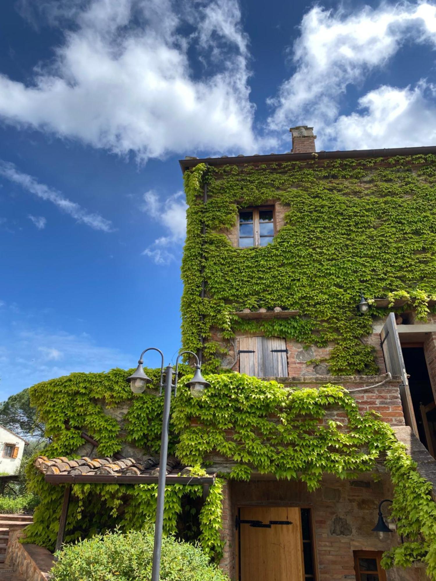 Agriturismo Borgo 7 Tigli - Apt 1 Montepulciano Stazione Kültér fotó