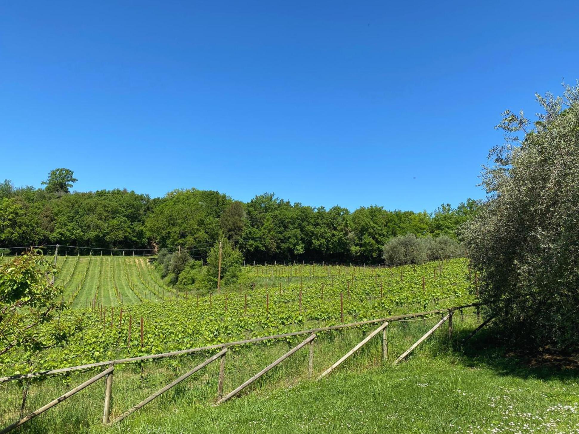 Agriturismo Borgo 7 Tigli - Apt 1 Montepulciano Stazione Kültér fotó